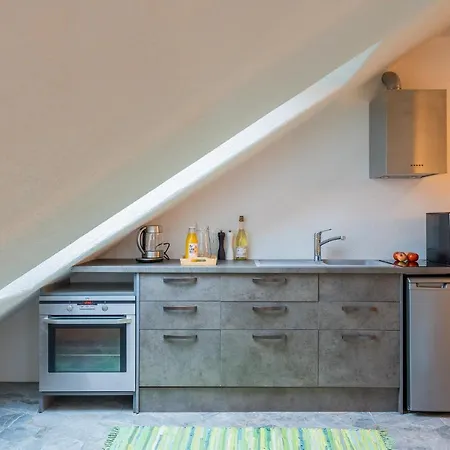 Apartment Apteegimaja Rongu