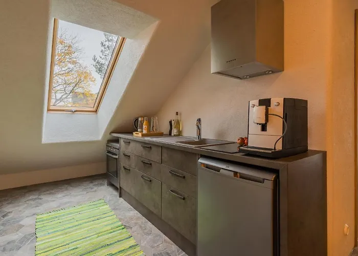 Daire Apteegimaja Rongu