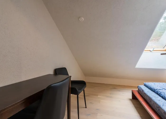 Apteegimaja Daire Rongu